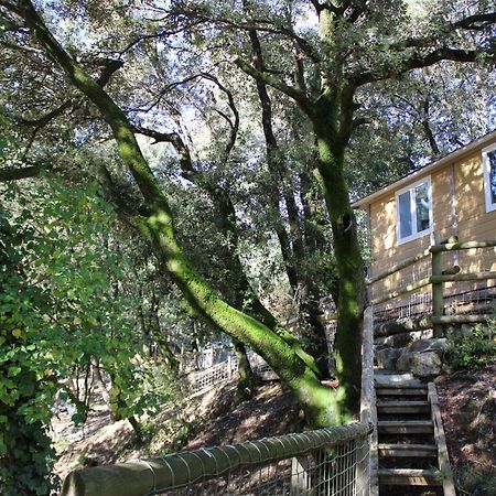 Le Domaine du Naizadou chalet lou grilh La Barriére Exterior foto
