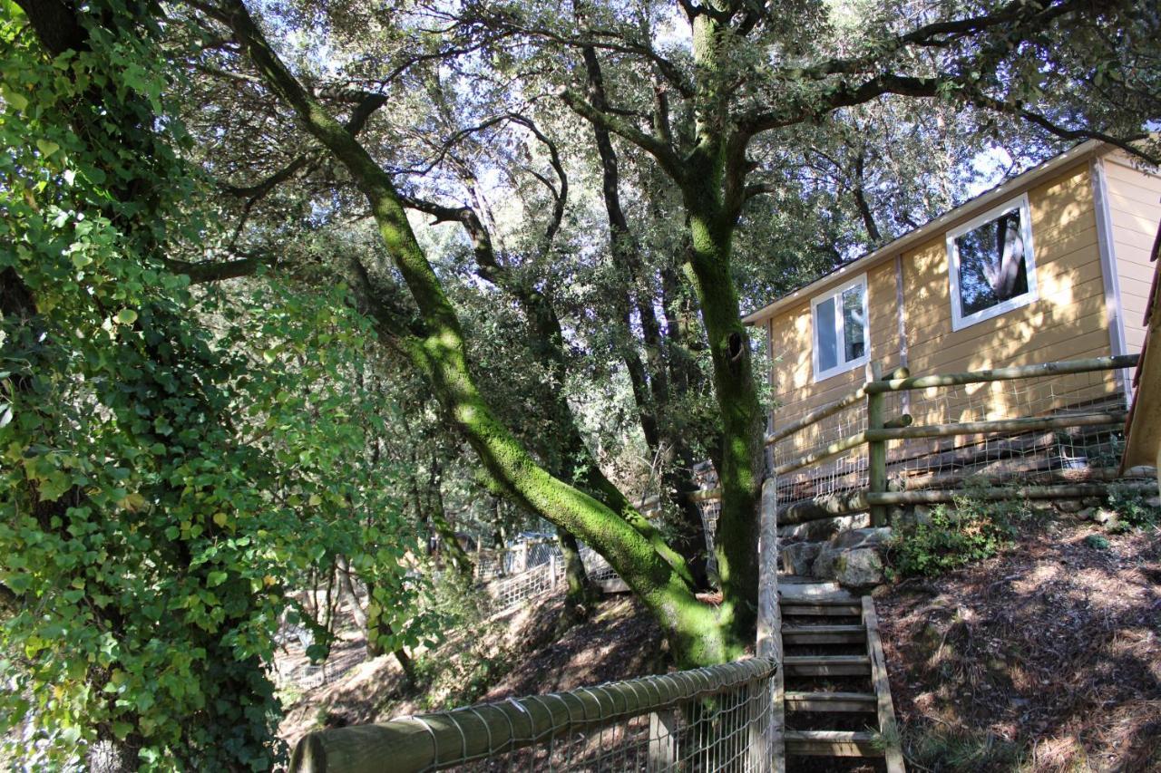 Le Domaine du Naizadou chalet lou grilh La Barriére Exterior foto